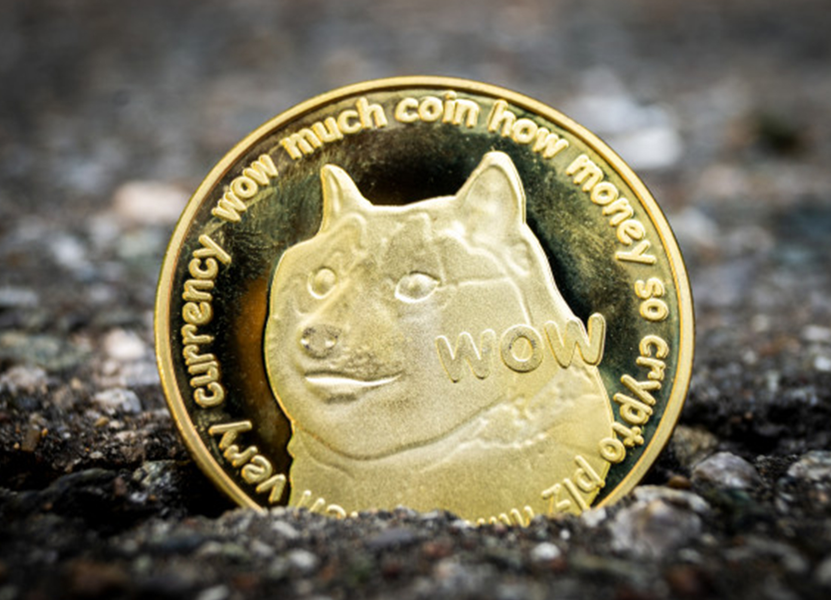 What is Dogecoin?