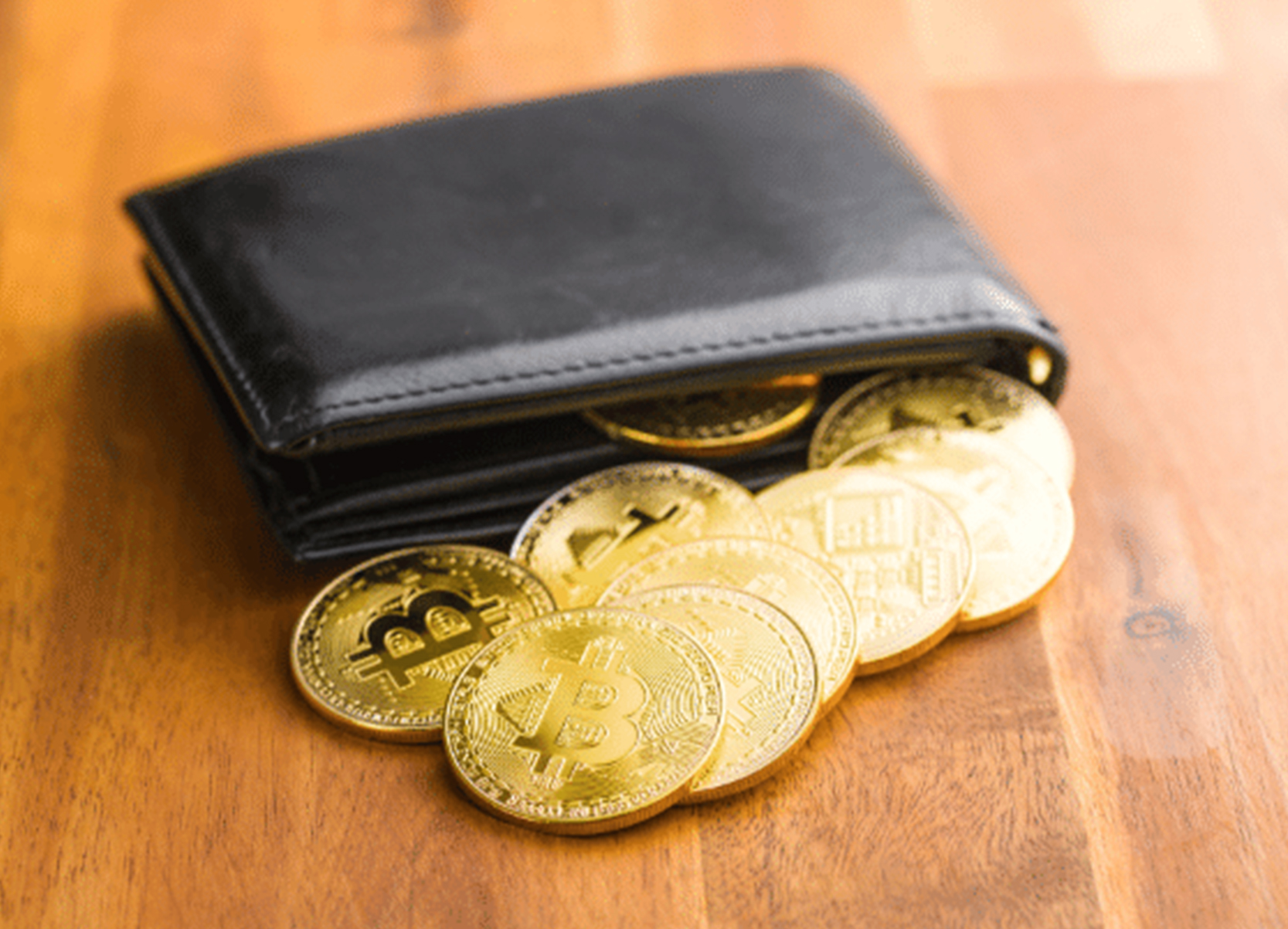 wallet with bitcoin