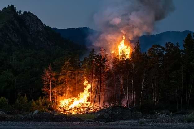 How To Prevent Bushfires