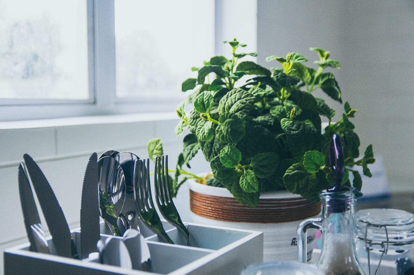 Grow A Kitchen Herb Garden