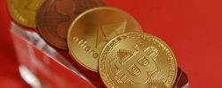                                                              Top 5 Cryptocurrency Update November 2020
                                                         