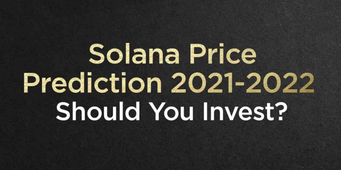                                         Solana Price Prediction 2021-2022 | Should You Invest?
                                     