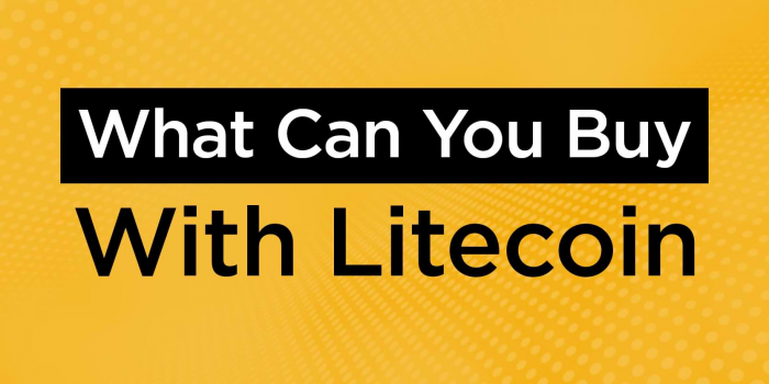                                         What Can You Buy With Litecoin
                                     