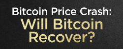                                                         Bitcoin Price Crash: Will Bitcoin Recover?
                                                     