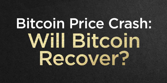                                         Bitcoin Price Crash: Will Bitcoin Recover?
                                     