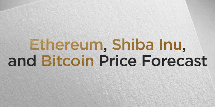                                        Ethereum, Shiba Inu, and Bitcoin Price Forecast - American Wrap 29 November
                                     