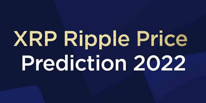                                         XRP Ripple Price Prediction 2022
                                     