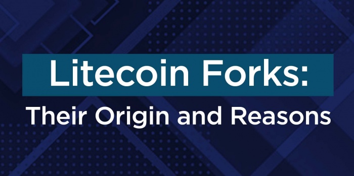 is litecoin a bitcoin fork