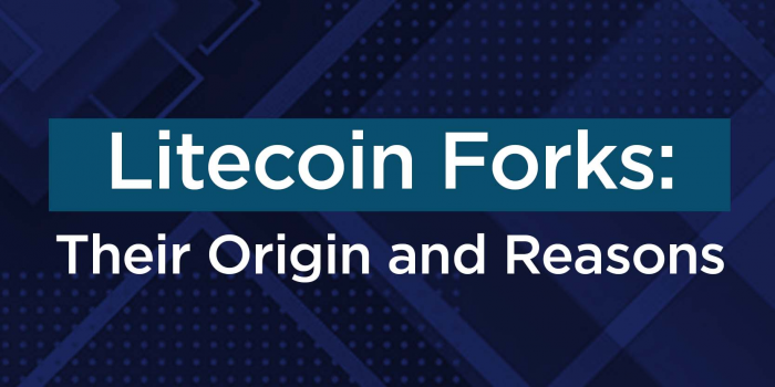                                         Litecoin Forks: Their Origins And Reasons For Splitting Away
                                     
