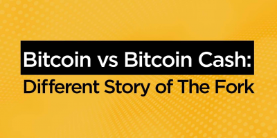                                                         Bitcoin vs Bitcoin Cash: Different Story of The Fork
                                                     