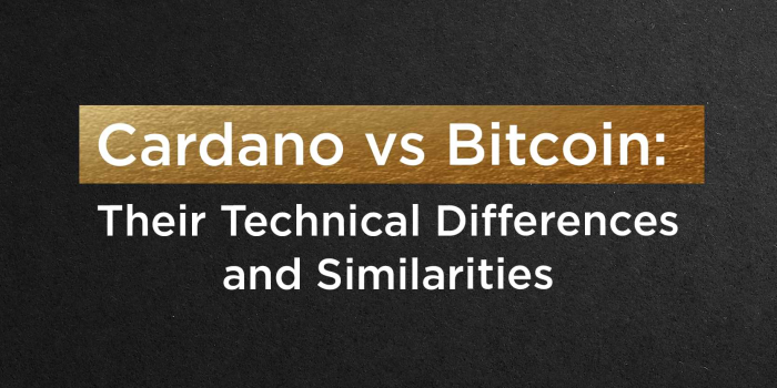 bitcoin vs cardano