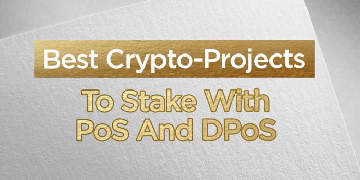                                         Best Crypto-Projects To Stake With PoS And DPoS
                                     