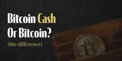                                                              Difference between Bitcoin Cash and Bitcoin (Explained)
                                                         