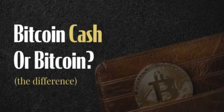                                              Difference between Bitcoin Cash and Bitcoin (Explained)
                                         