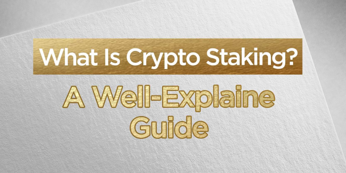                                         What Is Crypto Staking A Well-Explained Guide
                                     