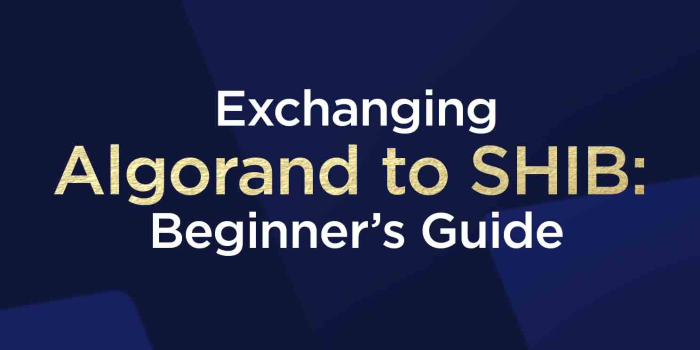                                         Exchanging Algorand to SHIB: Beginner’s Guide
                                     