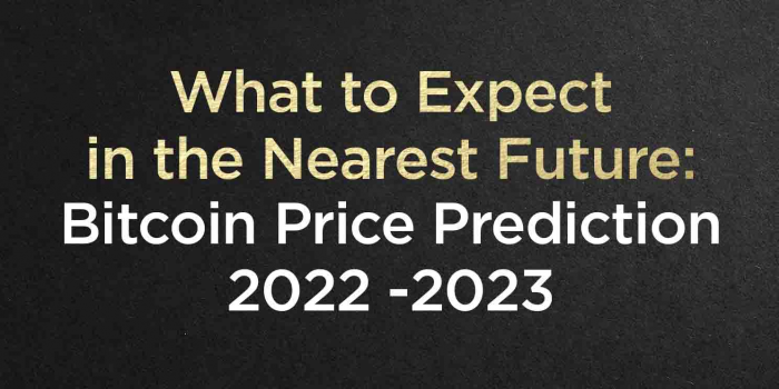                                         What To Expect In The Nearest Future: Bitcoin Price Prediction 2022 -2023
                                     