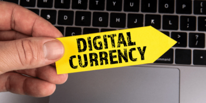                                         Reasons That Digital Currency is the Future
                                     