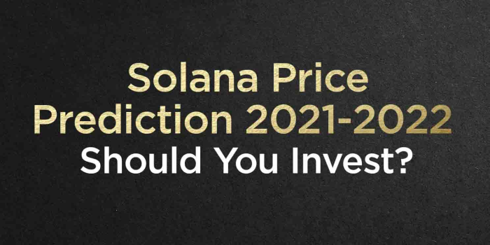                                         Solana Price Prediction 2021-2022 | Should You Invest?
                                     