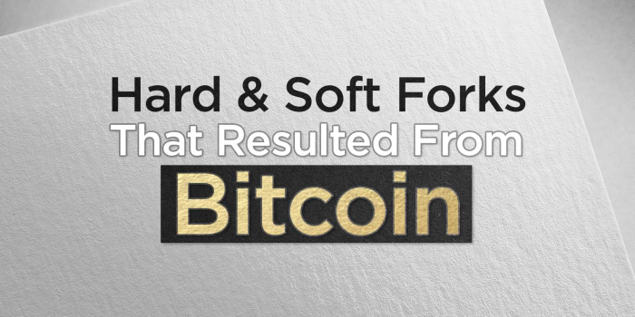                                         Hard & Soft Forks That Resulted From Bitcoin
                                     