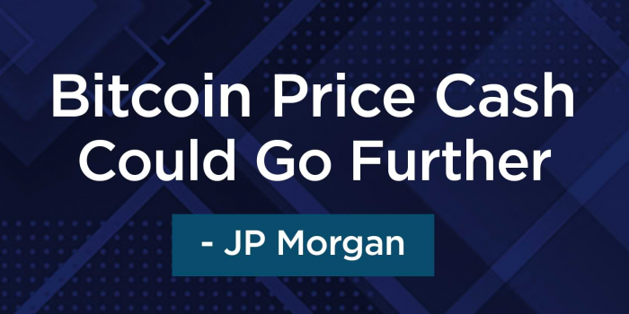                                         Bitcoin Price Cash Could Go Further - JP Morgan
                                     