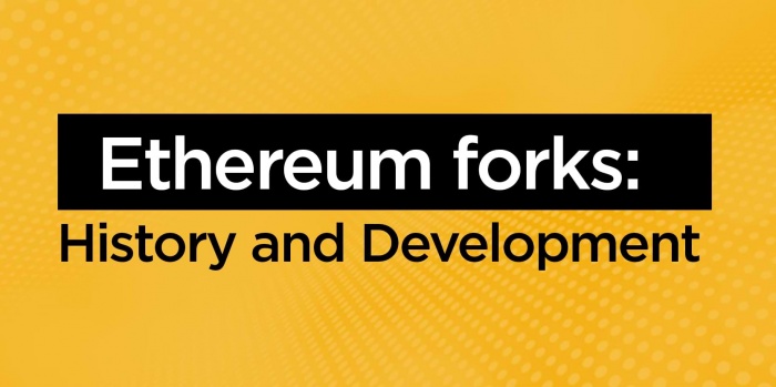 Ethereum forks: History and Development