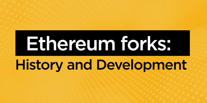                                         Ethereum forks: History and Development
                                     