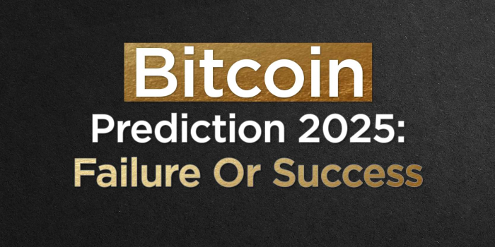                                         Bitcoin Prediction 2025: Failure Or Success
                                     