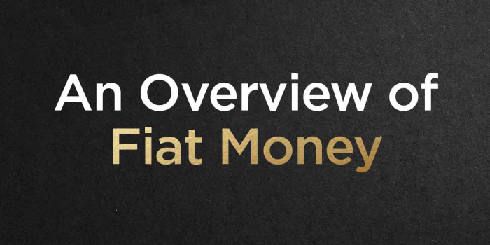                                         An Overview of Fiat Money
                                     
