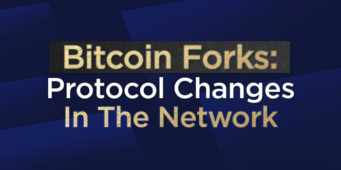                                         Bitcoin Forks: Protocol Changes In The Network
                                     