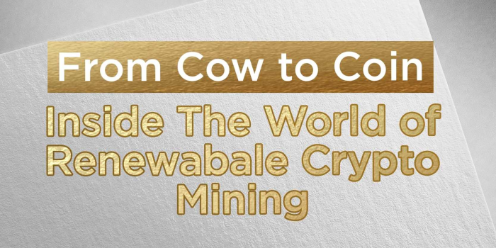                                         From Cow to Coin: Inside The World of Renewable Crypto Mining
                                     