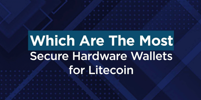                                         The Most Secure Hardware Wallets for Litecoin | The Top Coins
                                     