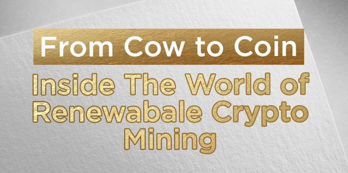 cowcow crypto mining