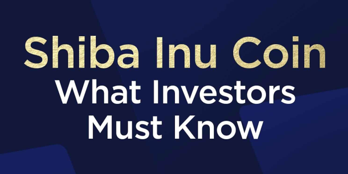                                         Shiba Inu Coin What Investors Must Know
                                     