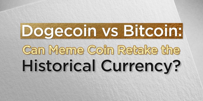                                         Dogecoin vs Bitcoin: Can Meme Coin Retake the Historical Currency?
                                     