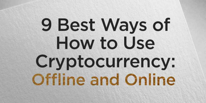                                         9 Best Ways Of How To Use Cryptocurrency: Offline and Online
                                     
