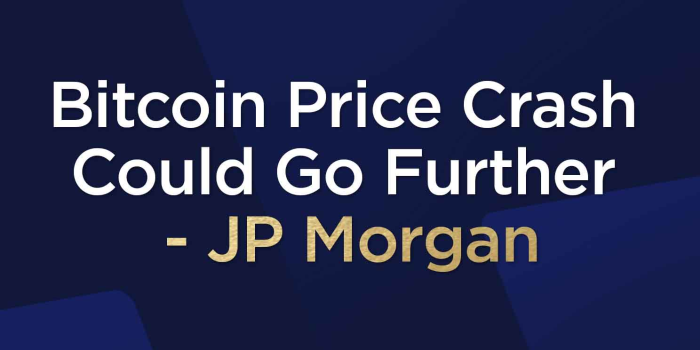                                         Bitcoin Price Crash Could Go Further - JP Morgan
                                     