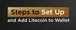                                                         Steps to Set Up and Add Litecoin to Wallet | The Top Coins
                                                     