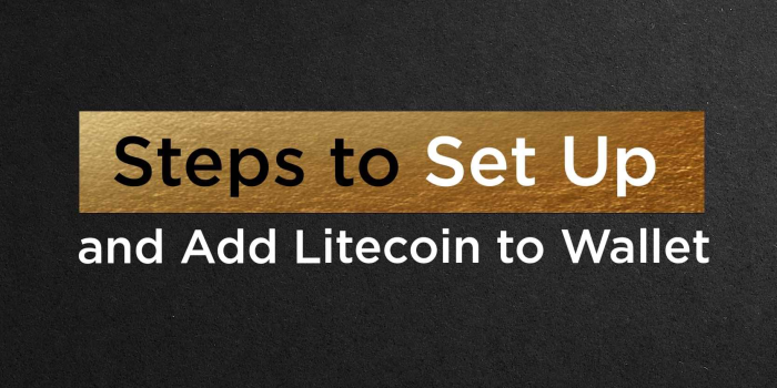                                         Steps to Set Up and Add Litecoin to Wallet | The Top Coins
                                     