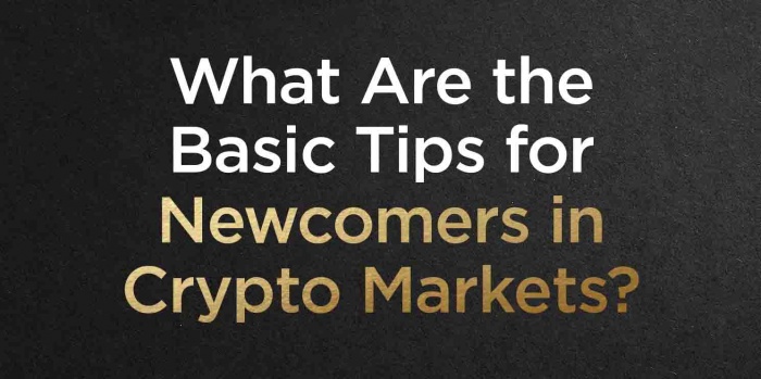 The Basic Tips For Newcomers In Cryptocurrency Markets | The TopCoins