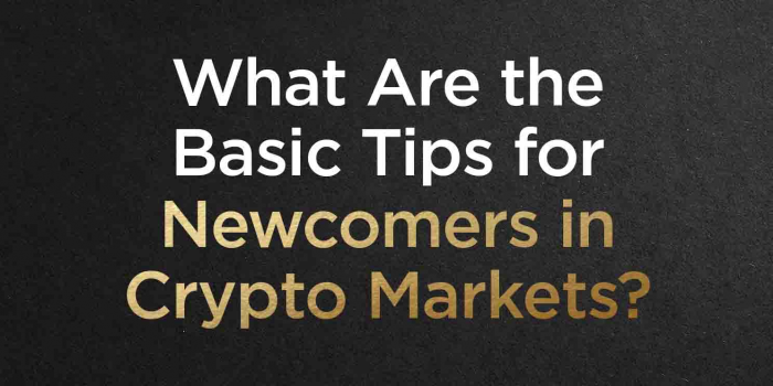                                         What Are The Basic Tips For Newcomers In Crypto Markets?
                                     