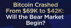                                                         Bitcoin Crashed from $69K to $42K: Will the Bear Market Begin?
                                                     