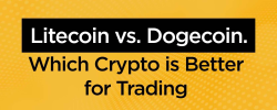                                                         Litecoin vs. Dogecoin. Which Crypto is Better for Trading
                                                     