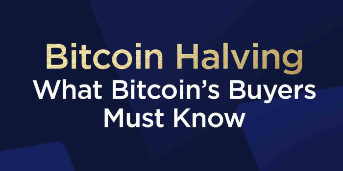                                         Bitcoin Halving - What Bitcoin’s Buyers Must Know
                                     