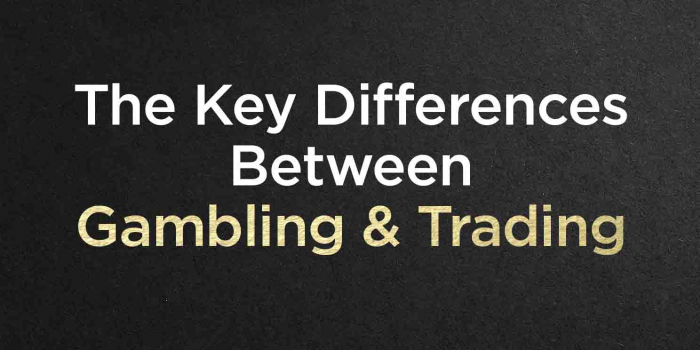                                         The Key Differences Between Gambling & Trading
                                     