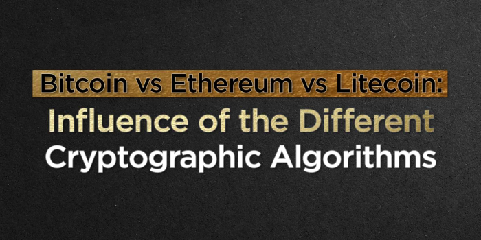                                         Bitcoin vs Ethereum vs Litecoin: Influence of the Different Cryptographic Algorithms
                                     
