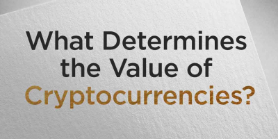                                                         What Determines The Value Of Cryptocurrencies?
                                                     