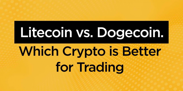                                         Litecoin vs. Dogecoin. Which Crypto is Better for Trading
                                     