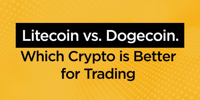 bitcoin vs dogecoin vs litecoin