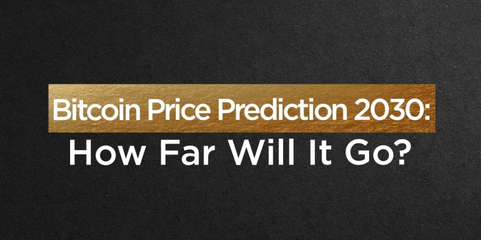                                         Bitcoin Price Prediction 2030: How Far Will It Go?
                                     